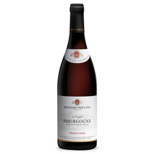 Вино Bouchard Pere & Fils Bourgogne Pinot Noir червоне сухе 0.75 л 12% (3337690194359)