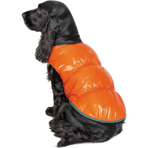 Жилет Pet Fashion "SPRING" для собак розмір XL, Помаранчевий (4823082420506) ТОП в Черкасах