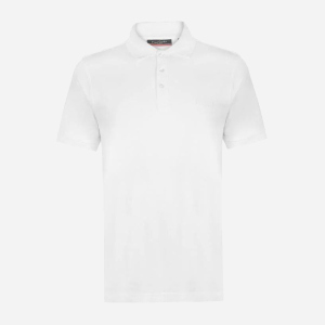 Поло Pierre Cardin 540454-01 3XL White краща модель в Черкасах