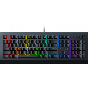 Клавіатура провідна Razer Cynosa V2 USB RU (RZ03-03400700-R3R1) ТОП в Черкасах