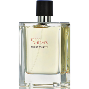 Тестер Туалетна вода для чоловіків Hermes Terre D'hermes 100 мл (3346131400027) в Черкасах