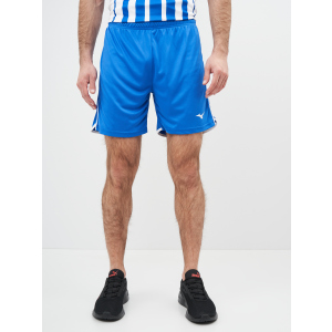 Спортивні шорти Mizuno High-Kyu Short V2EB700122 L (5054698344941) в Черкасах