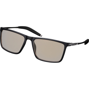 Окуляри комп'ютерні 2E Gaming Anti-blue Glasses Black-Black (2E-GLS310BK) ТОП в Черкасах