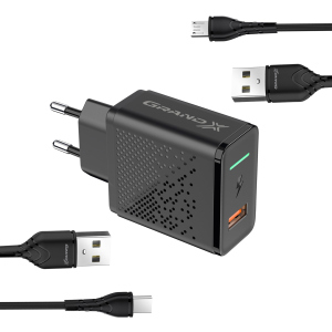 Зарядное устройство Grand-X Fast Charge 3-в-1 QC3.0, FCP, AFC, 18W +microUSB +TypeC (CH-650MT) рейтинг