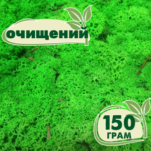 Очищений стабілізований мох ягель Nordic moss Зелений трав'яний світлий 150 грам ТОП в Черкасах