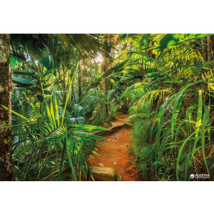Фотообои бумажные Komar Jungle Trail 368х254 см 8 сегментов (8-989) в Черкассах