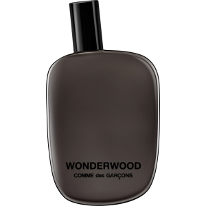 Тестер Парфюмированная вода унисекс Comme Des Garcons Wonderwood 100 мл (8411061707838) лучшая модель в Черкассах