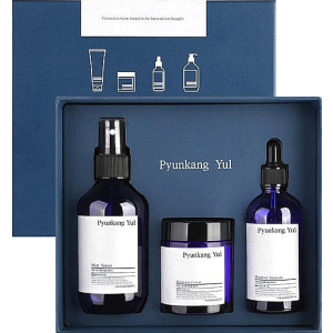 Набір Pyunkang Yul Set Тонер-міст Mist Toner 200 мл + Ампула Moisture Ampoule 100 мл + Крем Moisture Cream 100 мл (8809486680414) ТОП в Черкасах