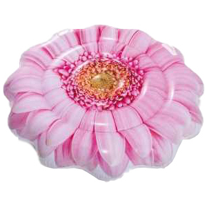 хороша модель Надувний матрац Intex 58787 Рожевий квітка (58787)