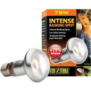 Рефлекторна лампа розжарювання Exo Terra "Intense Basking Spot" для обігріву 75 Вт, E27 (015561221368) рейтинг
