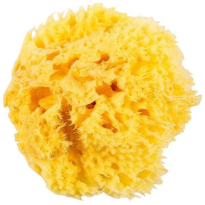 Натуральна морська губка Ok Baby Honeycomb Sea Sponge розмір 12 (38471200) в Черкасах