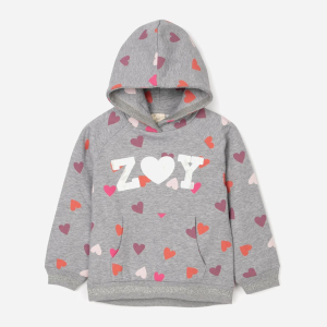 Худі утеплене Zippy Hooded Fl 3103304701 118 см Grey9 (5602156862461)