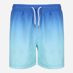 Шорти пляжні Regatta Loras Swim Short RMM014-48U L Сині (5059404179770) краща модель в Черкасах