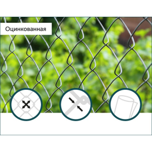 Сітка Рабиця оцинкована Сітка Захід 60х60/3,0мм 1,5м/10м в Черкасах