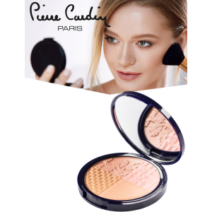 Румяна и хайлайтер для лица Pierre Cardin Selfie ready powder Портофино 010 11 мл (8680570441131) лучшая модель в Черкассах